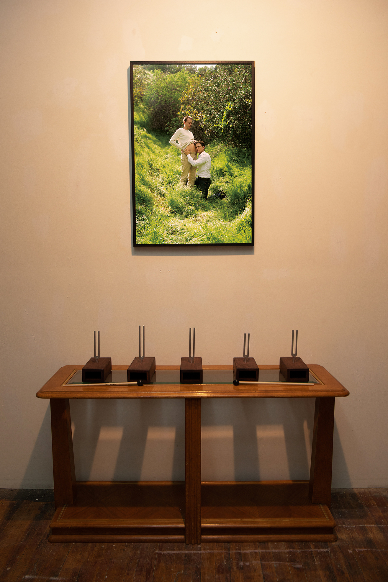 Detail of a small wooden table with five tuning forks in resenator boxes set up on them and a print above them against a white wall
